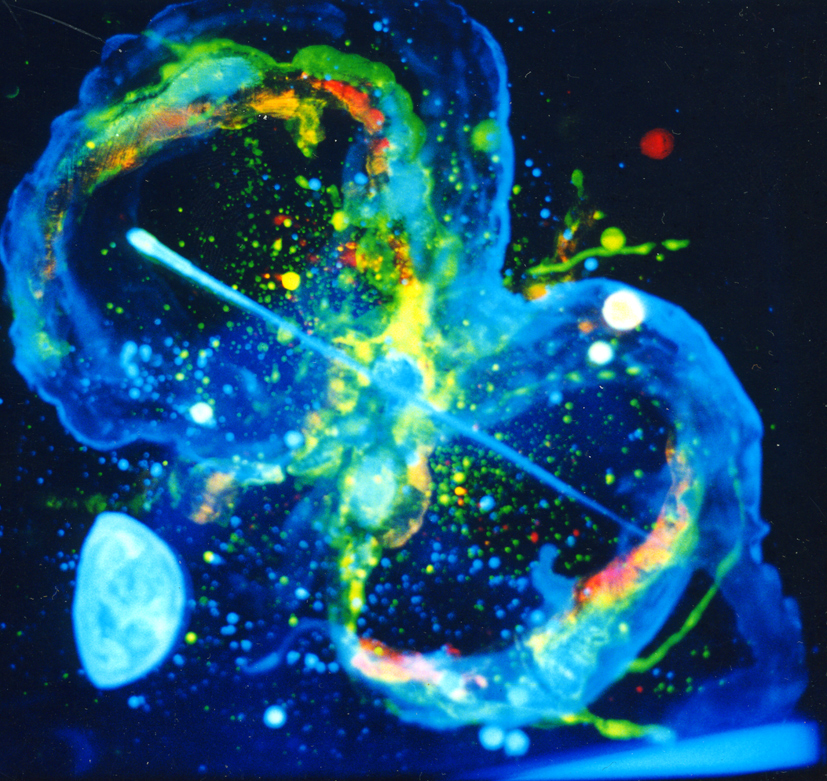 Scultura contemporanea luminescente a tema cosmogonico